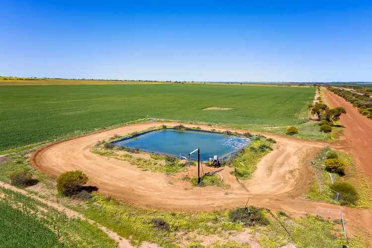 Fifth view of Homely rural property listing, 2451 Mullewa-Wubin Road, Mullewa WA 6630