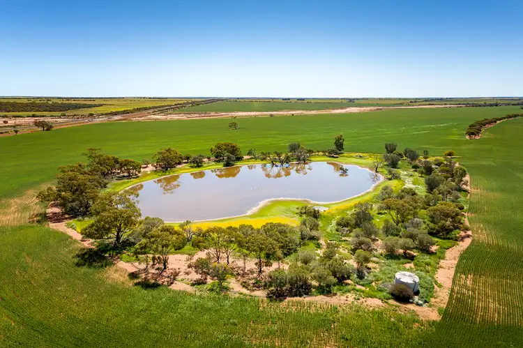 Sixth view of Homely rural property listing, 2451 Mullewa-Wubin Road, Mullewa WA 6630