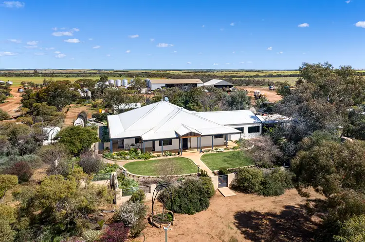 Seventh view of Homely rural property listing, 2451 Mullewa-Wubin Road, Mullewa WA 6630
