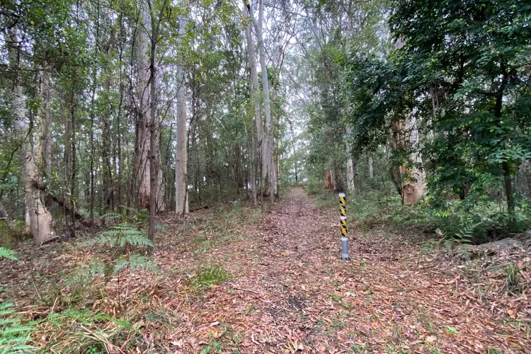 Third view of Homely rural property listing, 36-70 Smallwood Road, Kiamba QLD 4560
