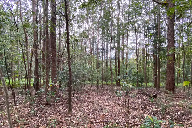 Fifth view of Homely rural property listing, 36-70 Smallwood Road, Kiamba QLD 4560