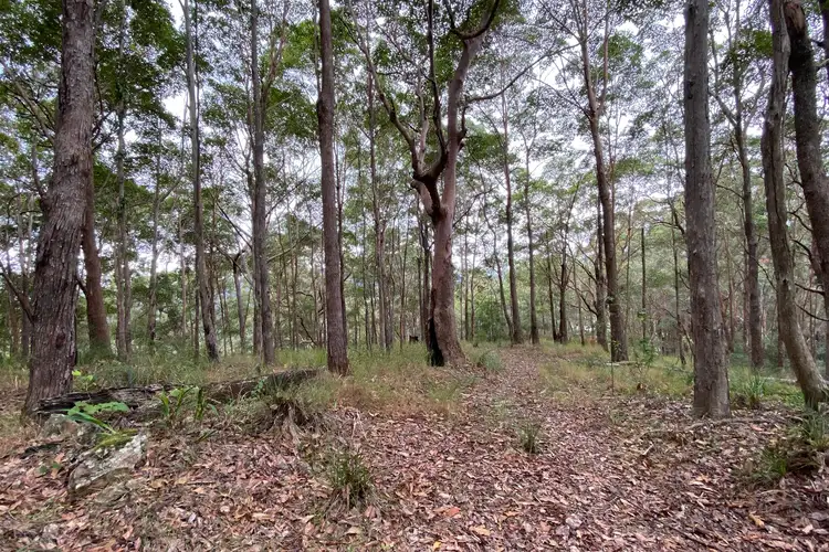 Sixth view of Homely rural property listing, 36-70 Smallwood Road, Kiamba QLD 4560