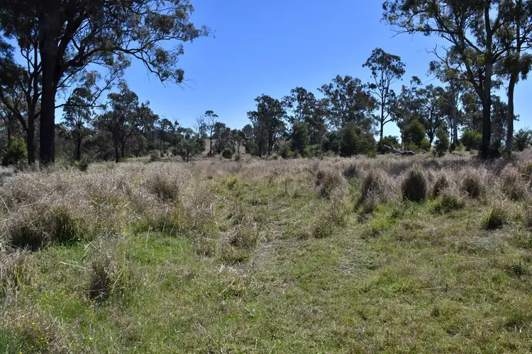 Sixth view of Homely rural property listing, L188-187 Thies Road, Peranga QLD 4352