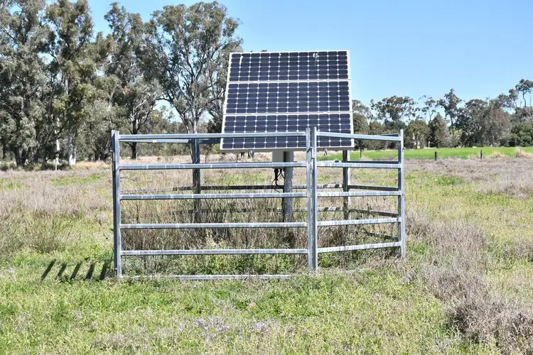 Seventh view of Homely rural property listing, L188-187 Thies Road, Peranga QLD 4352