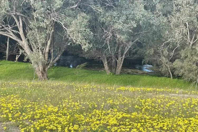 Sixth view of Homely rural property listing, Lot 912 York Williams Road, Beverley WA 6304