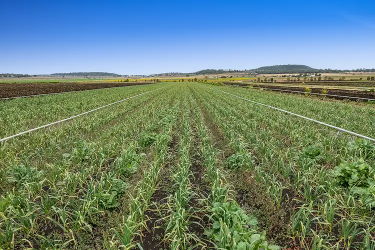Second view of Homely rural property listing, 324 Watts Siding Road, Greenmount QLD 4359