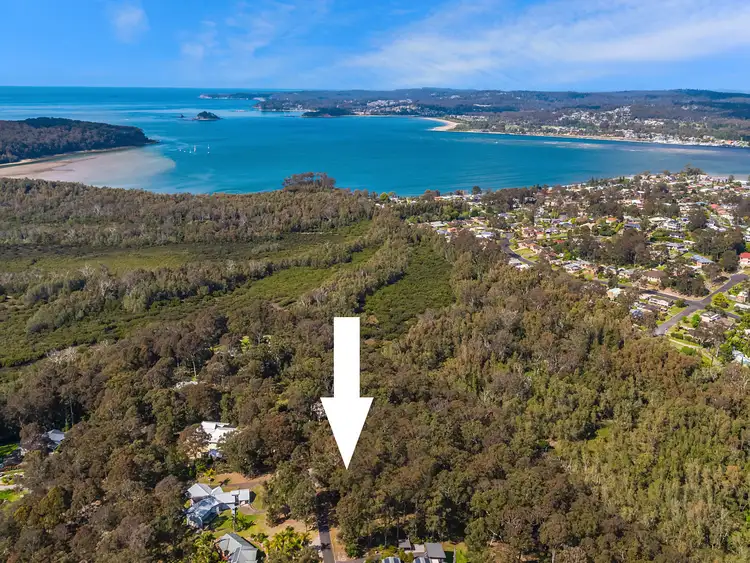 8 Burri Palm Way, Surfside NSW 2536