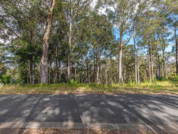 Sixth view of Homely land listing, 8 Burri Palm Way, Surfside NSW 2536