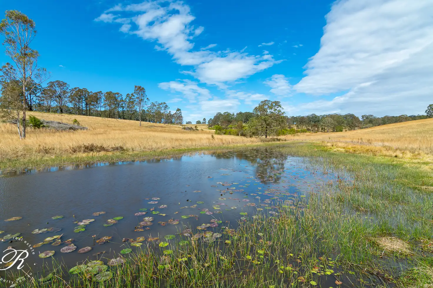 Main view of Homely rural property listing, 1802 Booral Road, Girvan NSW 2425