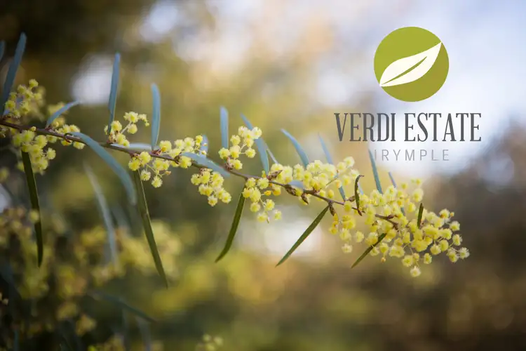 Third view of Homely land listing, LOT 77 Karadoc Avenue, Irymple VIC 3498