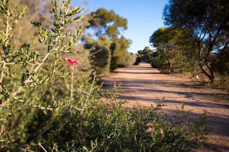Fifth view of Homely land listing, LOT 77 Karadoc Avenue, Irymple VIC 3498