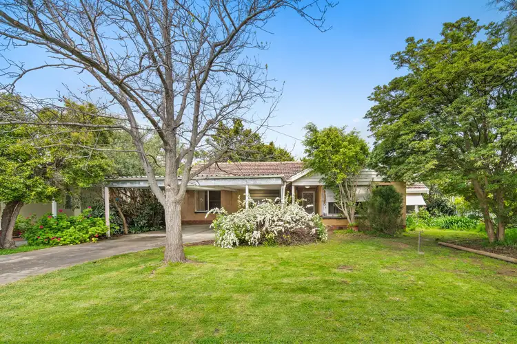 Second view of Homely house listing, 14 Bowden Grove, Oaklands Park SA 5046