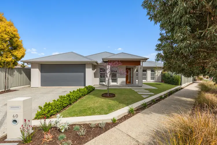 60 Warburton Drive, Woodcroft SA 5162
