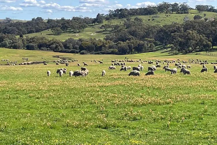Third view of Homely rural property listing, Lot 1533 Ashworth Road, York WA 6302