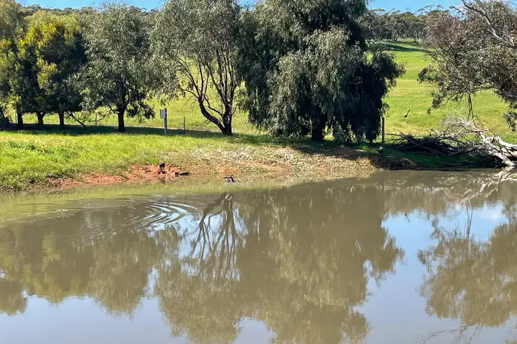Sixth view of Homely rural property listing, Lot 1533 Ashworth Road, York WA 6302