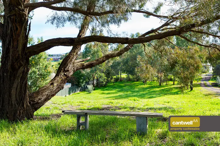 36 Moscript Street, Campbells Creek VIC 3451