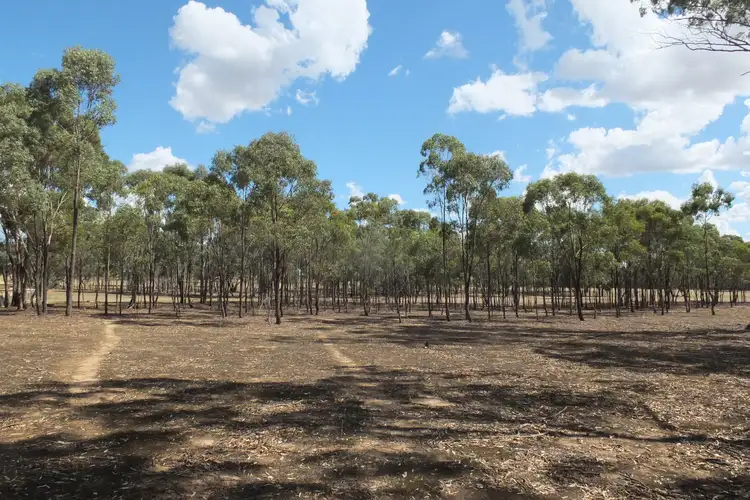 Lot 1 TP85 Box Flat Track, Lamplough VIC 3352