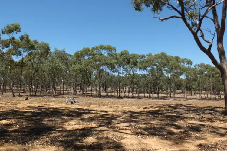 Second view of Homely rural property listing, Lot 1 TP85 Box Flat Track, Lamplough VIC 3352