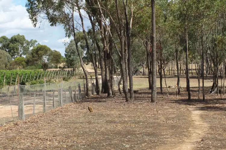 Fourth view of Homely rural property listing, Lot 1 TP85 Box Flat Track, Lamplough VIC 3352
