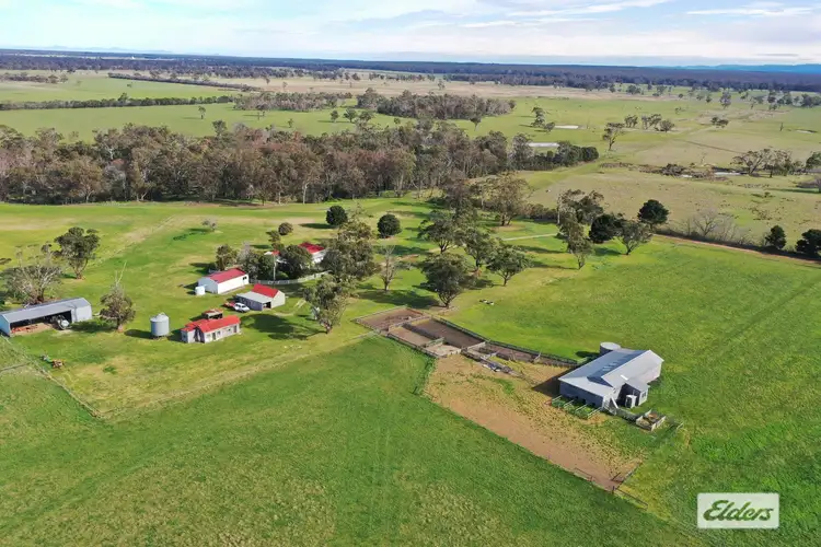 Seventh view of Homely rural property listing, 113 Lambs Road, Darriman VIC 3851