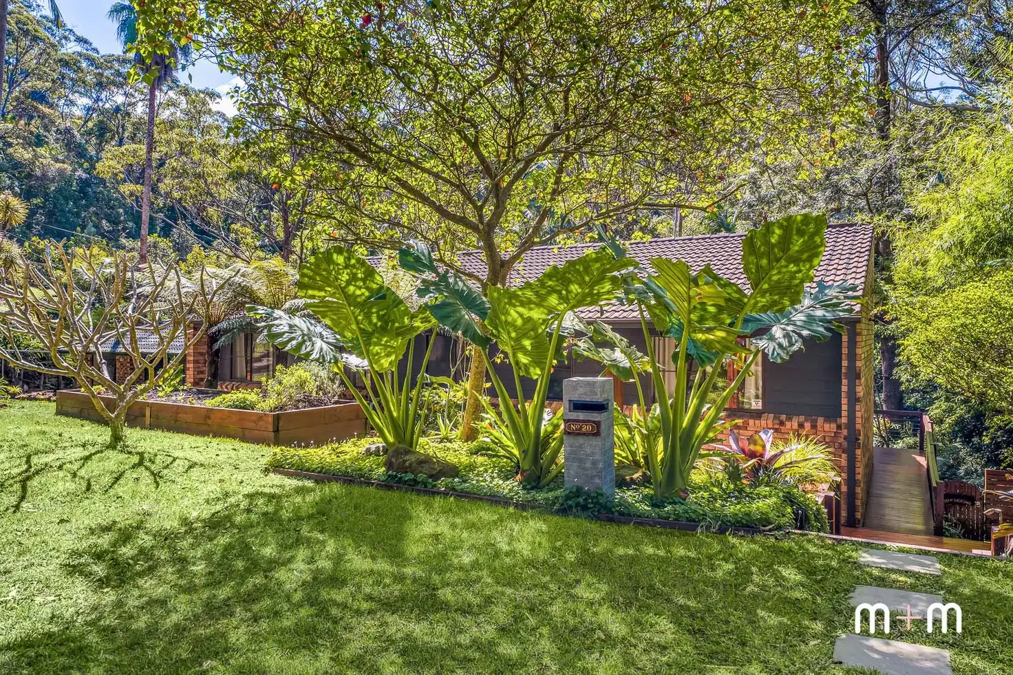 Main view of Homely house listing, 20 Cope Place, Bulli NSW 2516