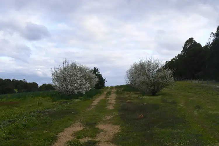 Fourth view of Homely rural property listing, 29 Hundley Road, Noggerup WA 6225