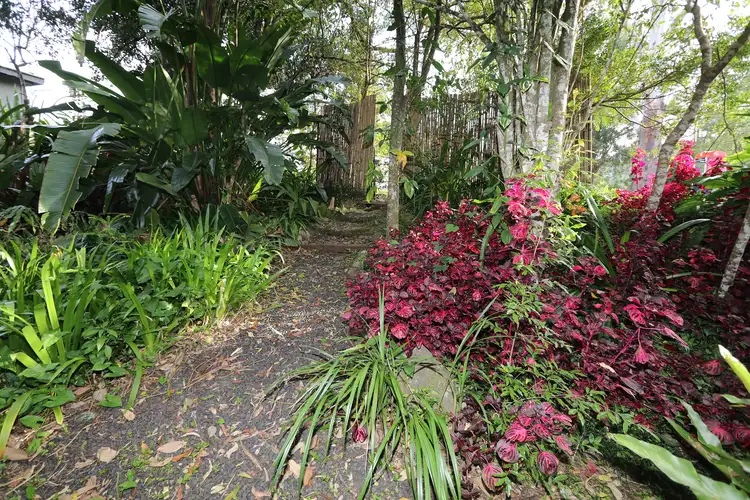 Fourth view of Homely house listing, 8 Standing Street, The Channon NSW 2480