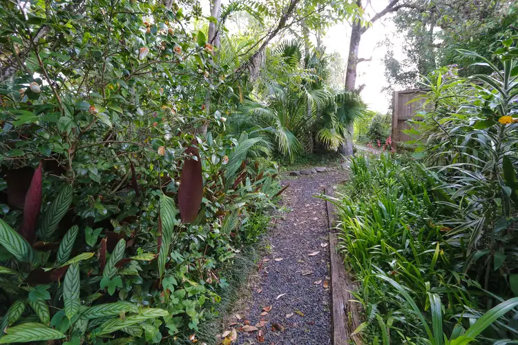 Fifth view of Homely house listing, 8 Standing Street, The Channon NSW 2480