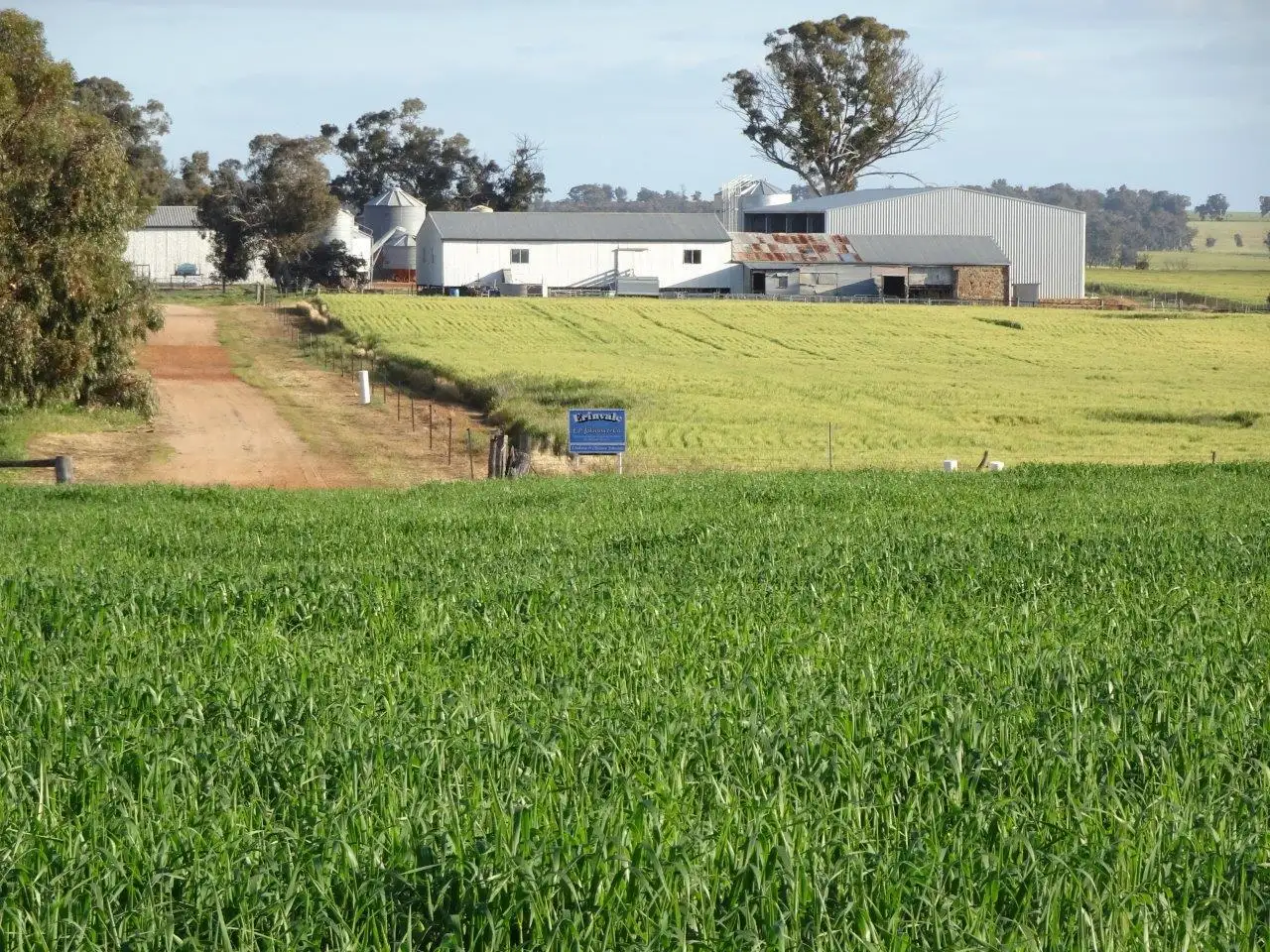 Main view of Homely rural property listing, 453 Edwards Road, Piesseville WA 6315