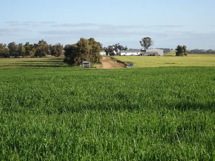 Second view of Homely rural property listing, 453 Edwards Road, Piesseville WA 6315