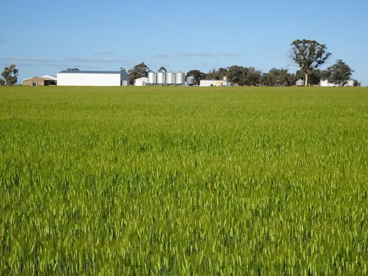 Third view of Homely rural property listing, 453 Edwards Road, Piesseville WA 6315