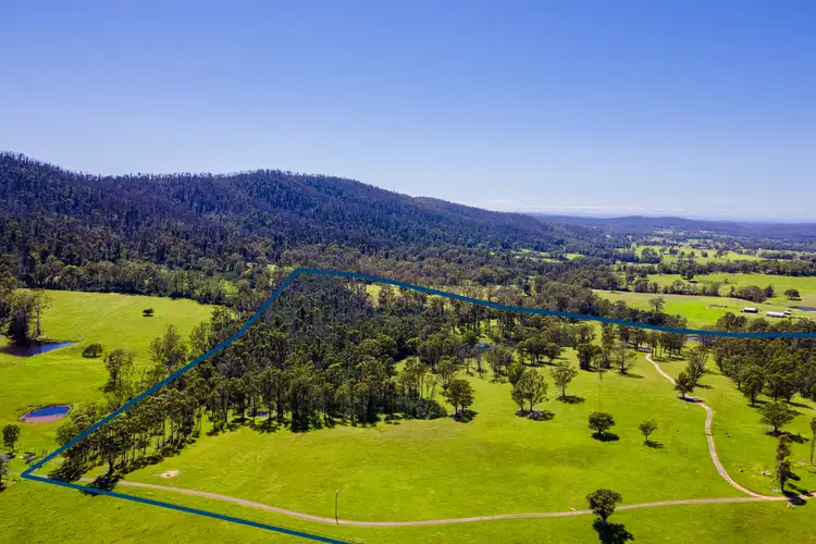 Fifth view of Homely rural property listing, 36 Cobargo Tip Road, Cobargo NSW 2550