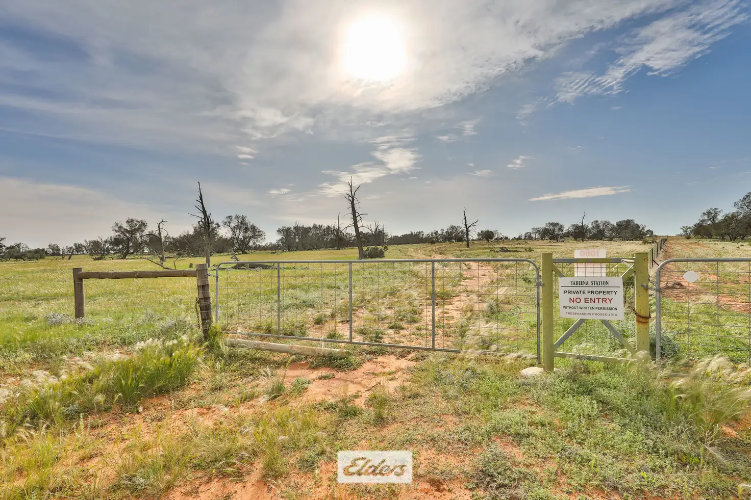 Main view of Homely rural property listing, Tareena Station, Renmark Road, Wentworth NSW 2648