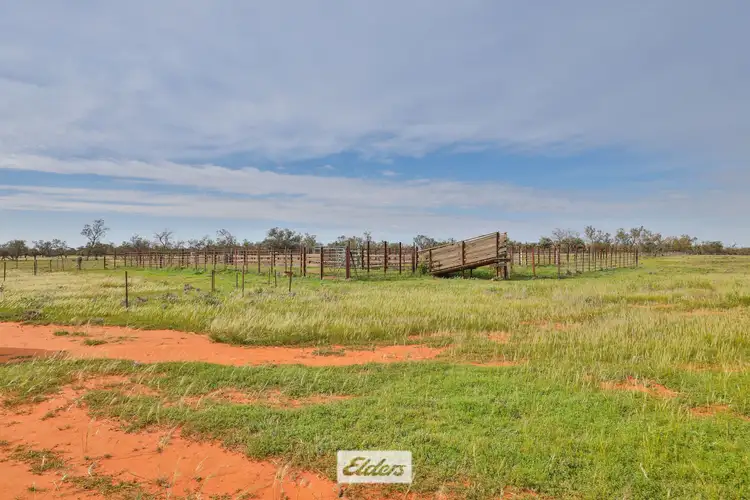 Second view of Homely rural property listing, Tareena Station, Renmark Road, Wentworth NSW 2648