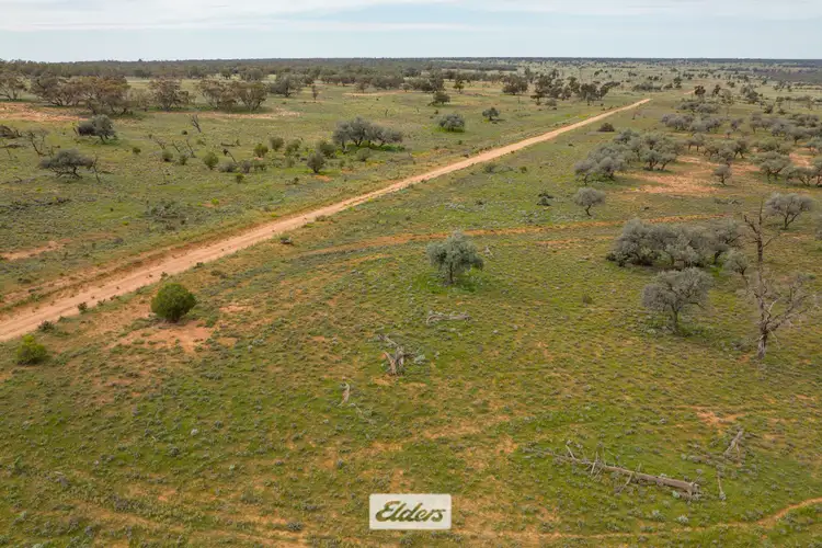 Fourth view of Homely rural property listing, Tareena Station, Renmark Road, Wentworth NSW 2648