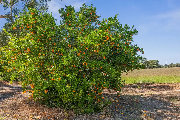 Seventh view of Homely land listing, 20 Edwards Street, Gingin WA 6503