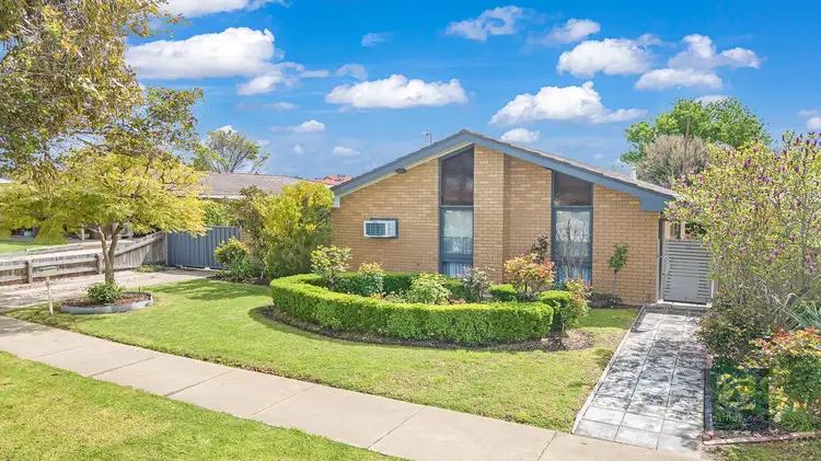 Main view of Homely house listing, 40 Hillview Avenue, Moama NSW 2731