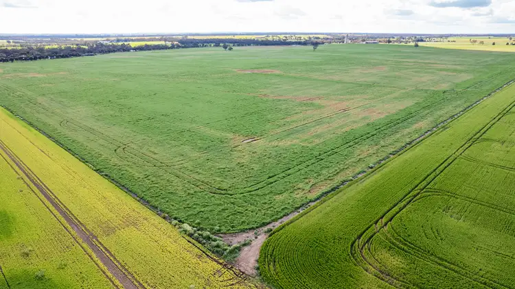 Second view of Homely rural property listing, 700 Dimboola-Rainbow Road, Dimboola VIC 3414