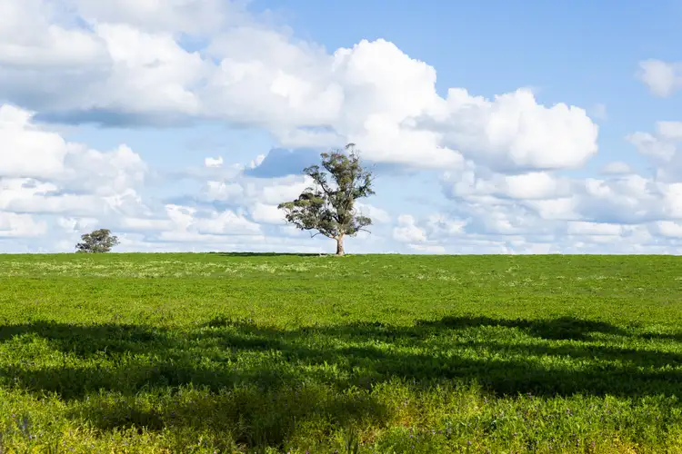 Third view of Homely rural property listing, 700 Dimboola-Rainbow Road, Dimboola VIC 3414