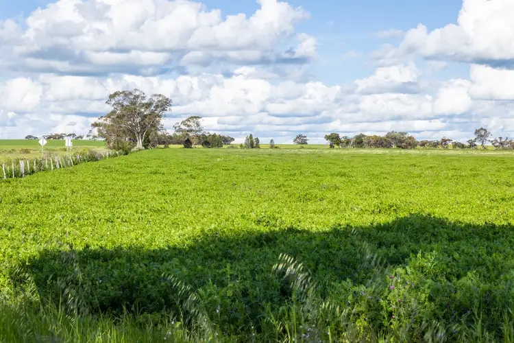 Fourth view of Homely rural property listing, 700 Dimboola-Rainbow Road, Dimboola VIC 3414