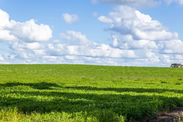 Fifth view of Homely rural property listing, 700 Dimboola-Rainbow Road, Dimboola VIC 3414