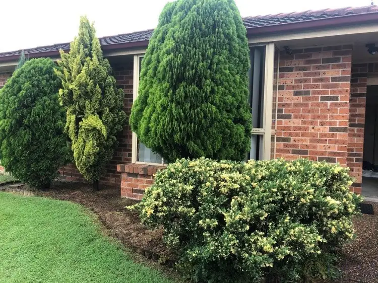 Second view of Homely unit listing, 1/3 Justine Parade, Rutherford NSW 2320