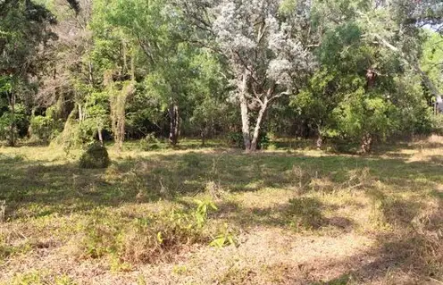 Main view of Homely house listing, 45-65 Fernee Road, Adelaide River NT 846