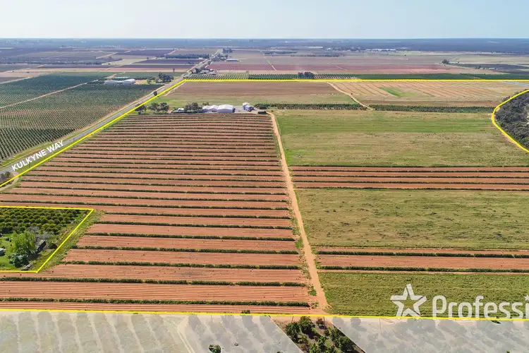 Main view of Homely rural property listing, 1157 Kulkyne Way, Red Cliffs VIC 3496