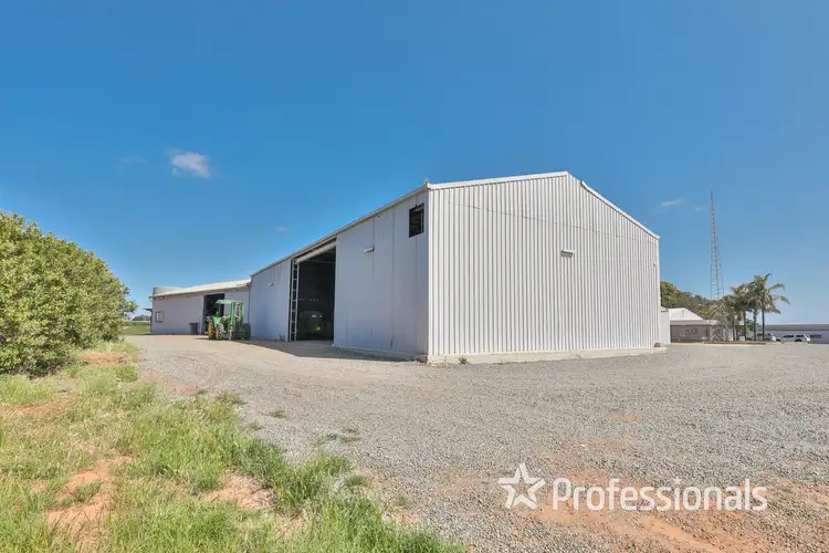 Sixth view of Homely rural property listing, 1157 Kulkyne Way, Red Cliffs VIC 3496