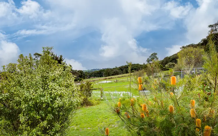 Fourth view of Homely rural property listing, 515 Sheepstation Creek Road, Hoddles Creek VIC 3139