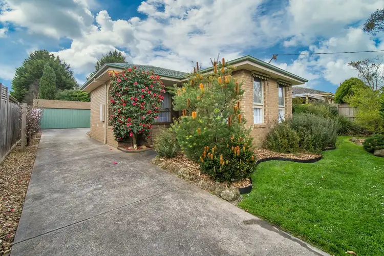 14 Helene Court, Boronia VIC 3155