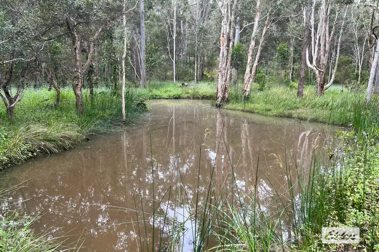 Third view of Homely land listing, LOT 307, 37 Darwin Road, Bauple QLD 4650