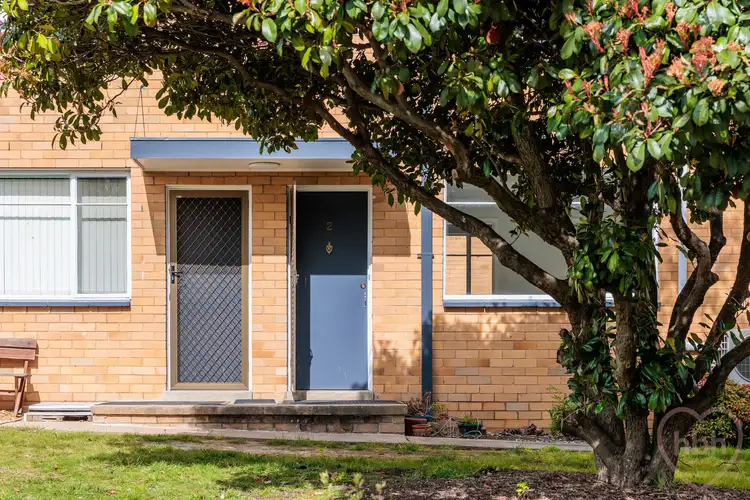 Main view of Homely apartment listing, 2/156 Knox Street, Watson ACT 2602