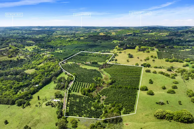 690 Cowlong Road, Eltham NSW 2480